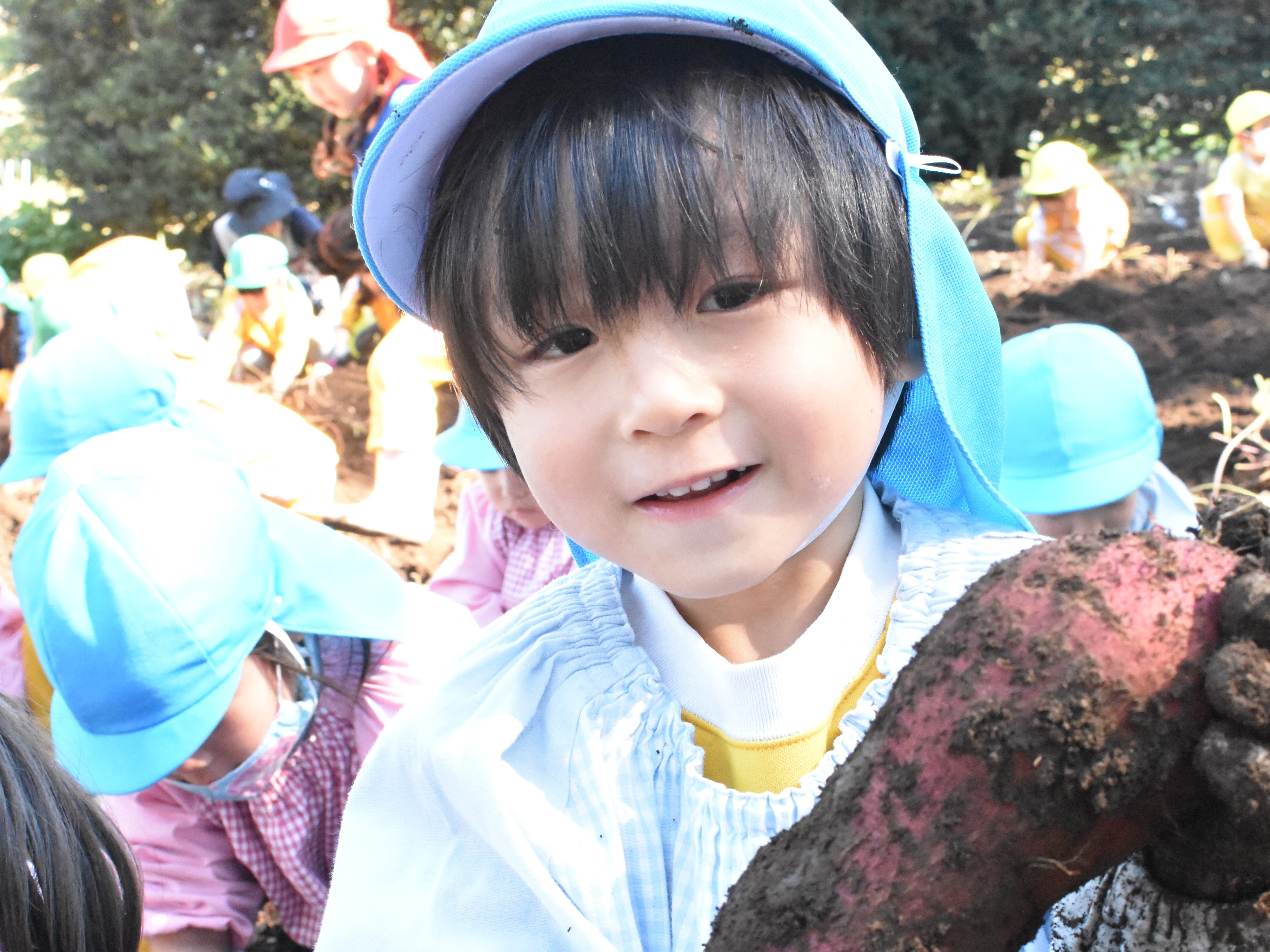 岩木幼稚園の画像4