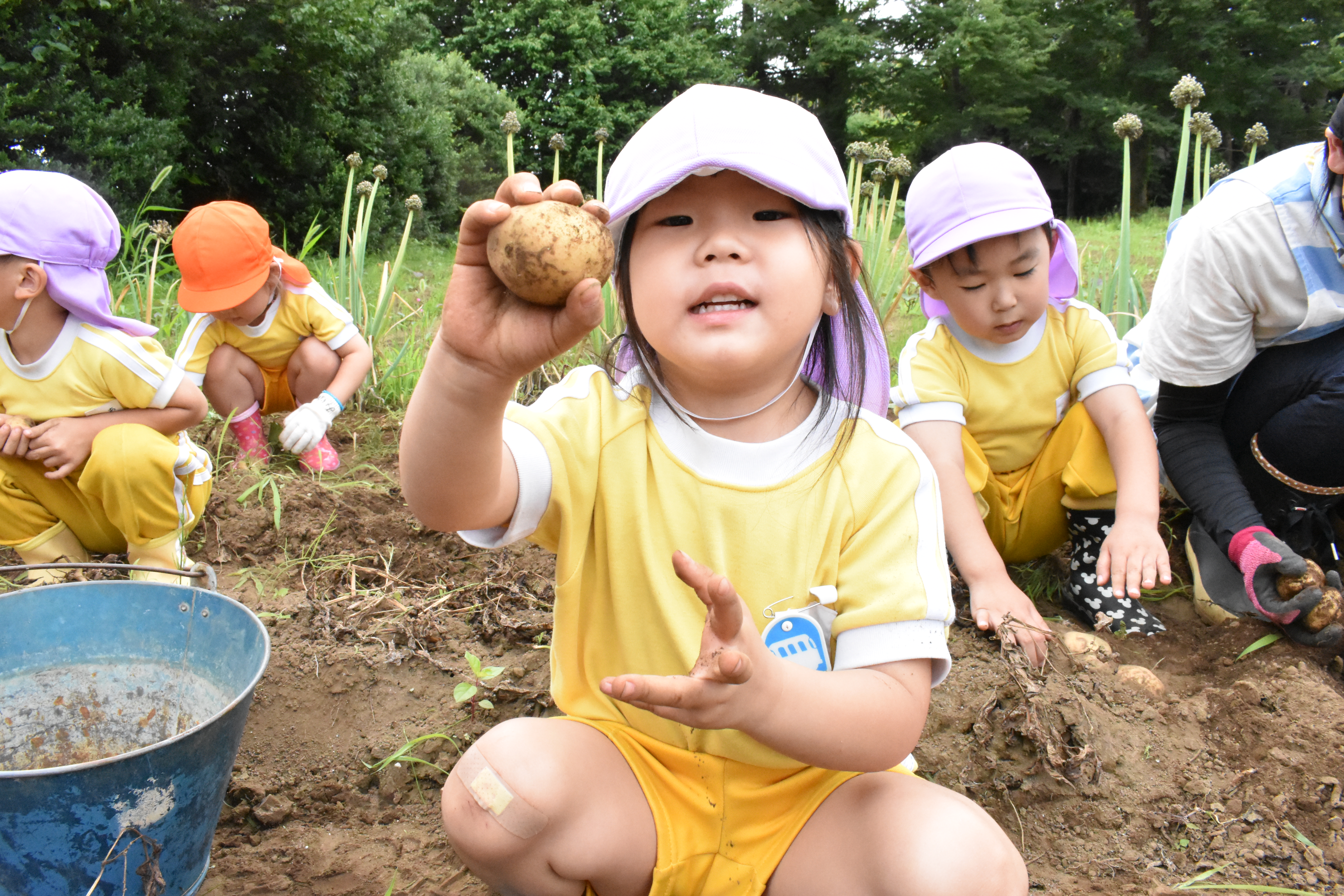 岩木幼稚園の画像5