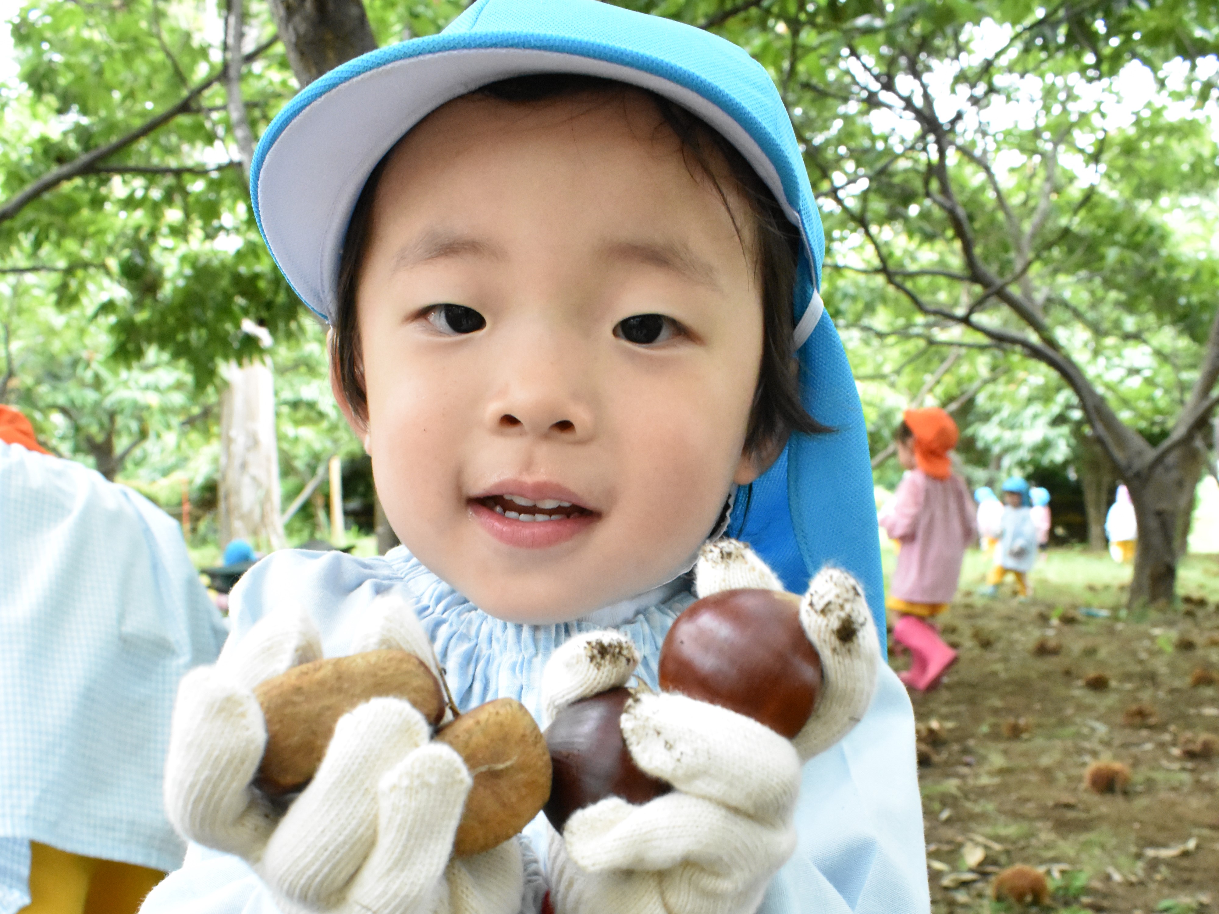 岩木幼稚園の画像10