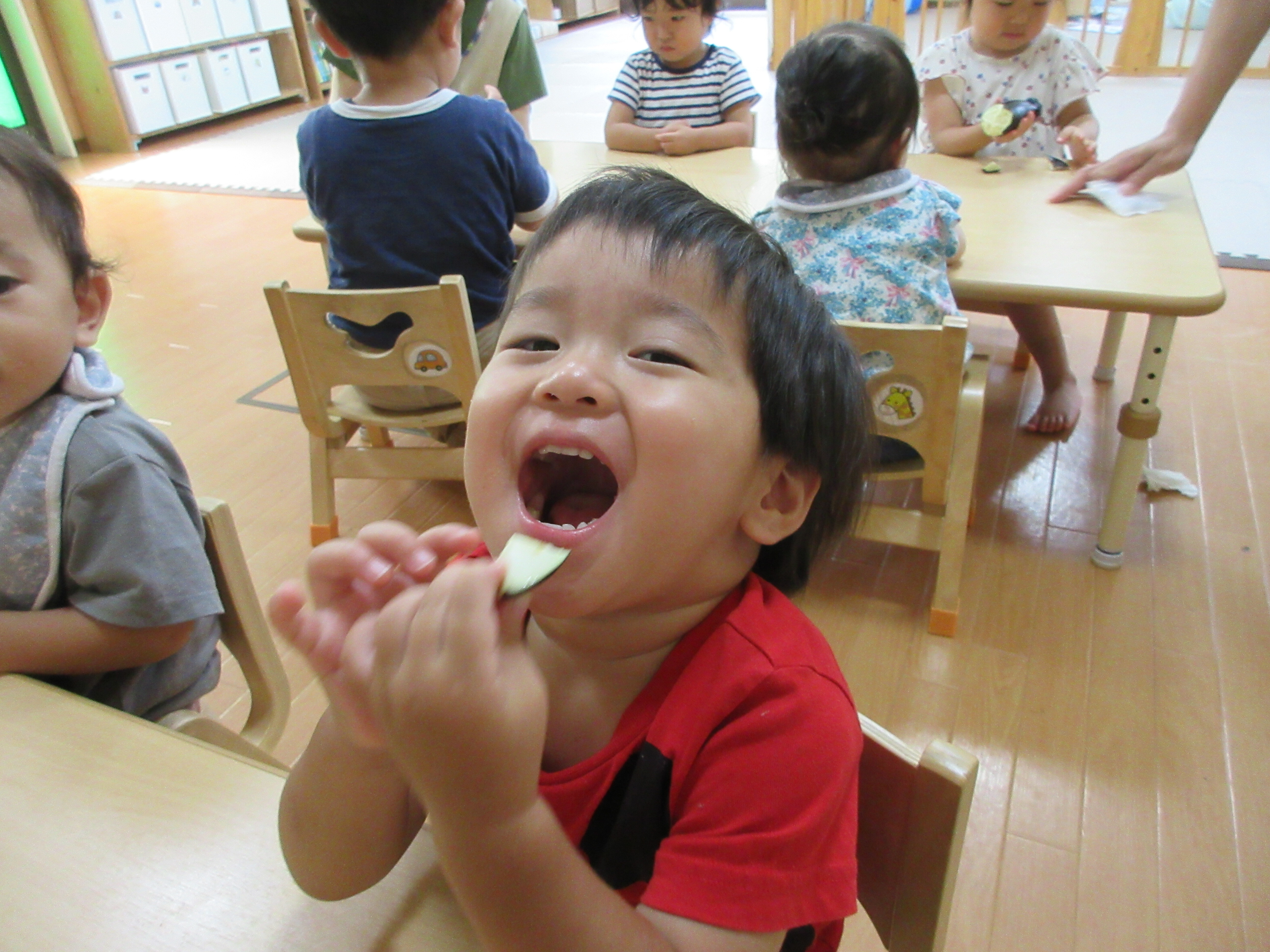 さくらんぼ保育園の画像4