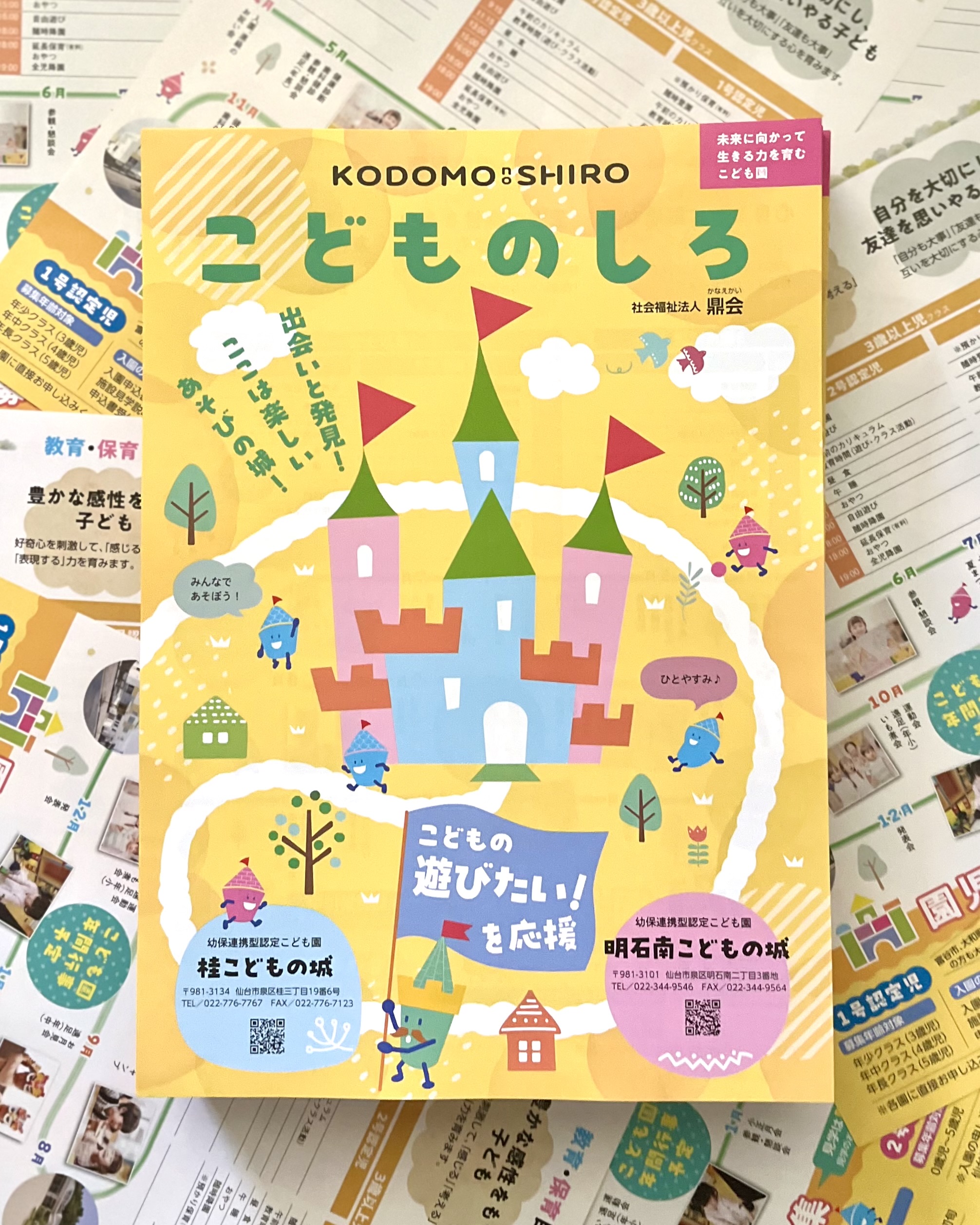 幼保連携認定こども園　　桂こどもの城の画像8