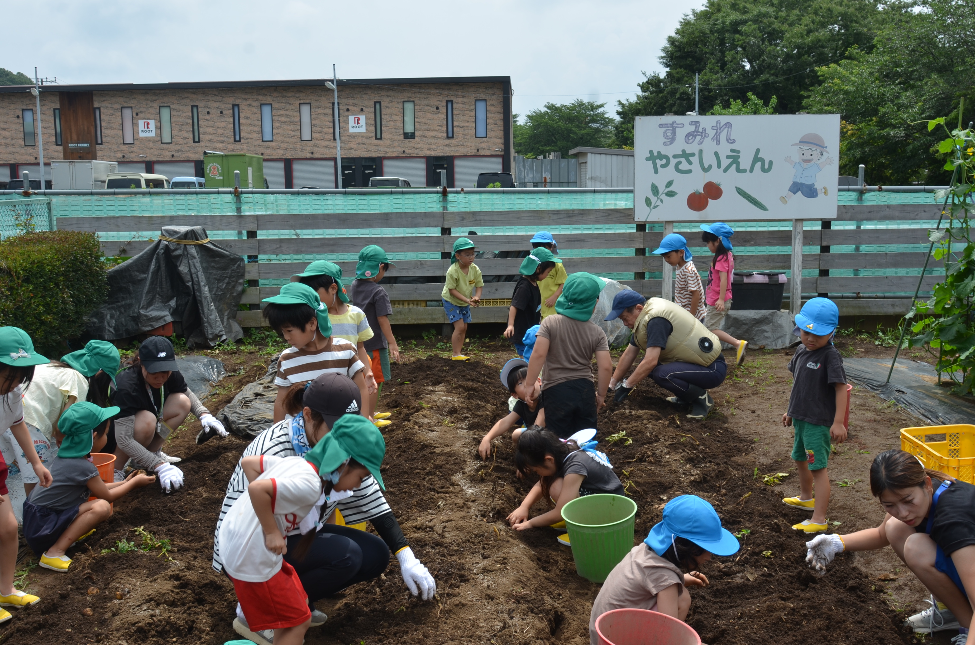 町田すみれ幼稚園の画像3