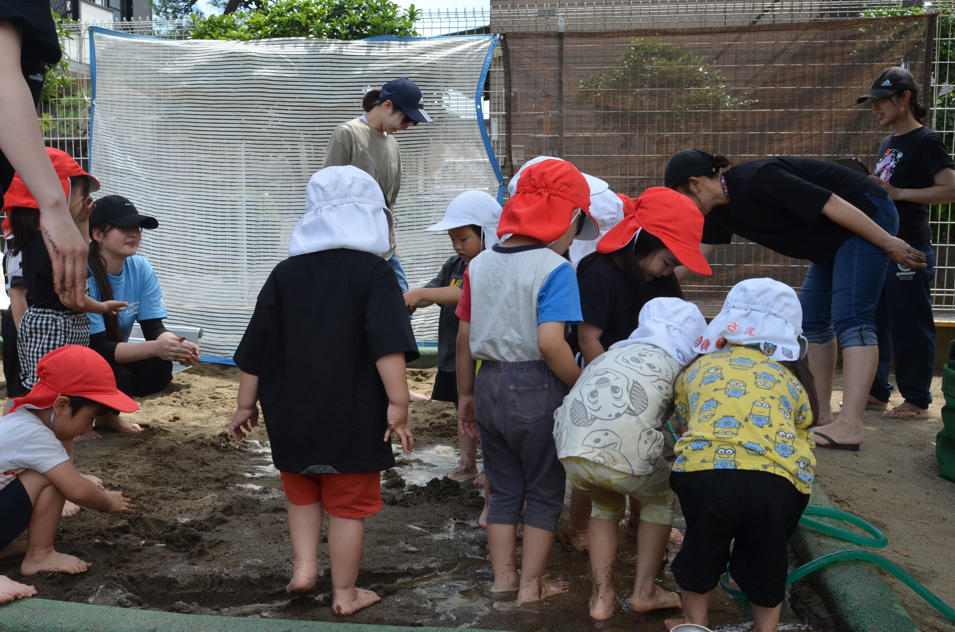 町田すみれ幼稚園の画像4
