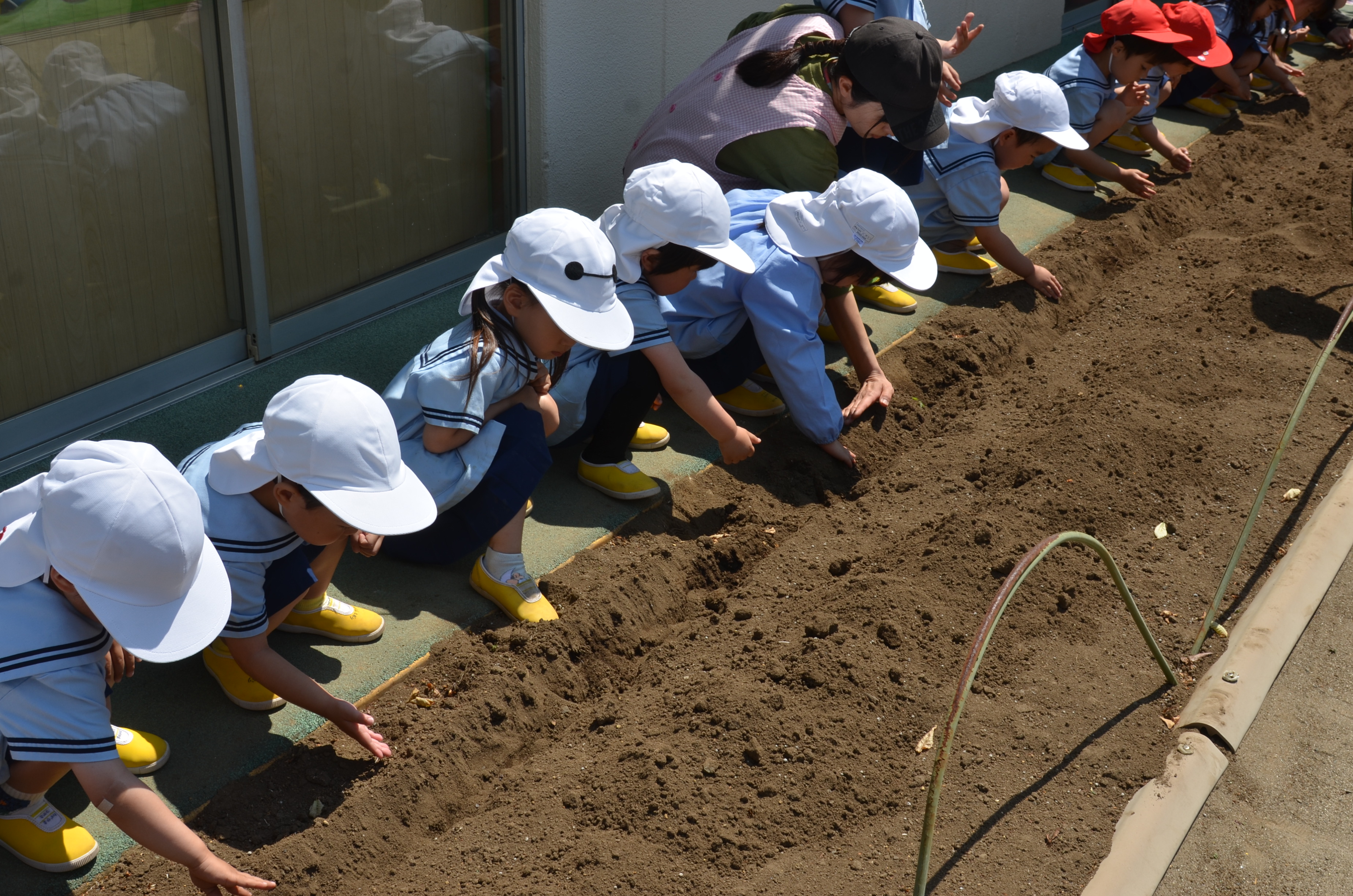 町田すみれ幼稚園の画像5