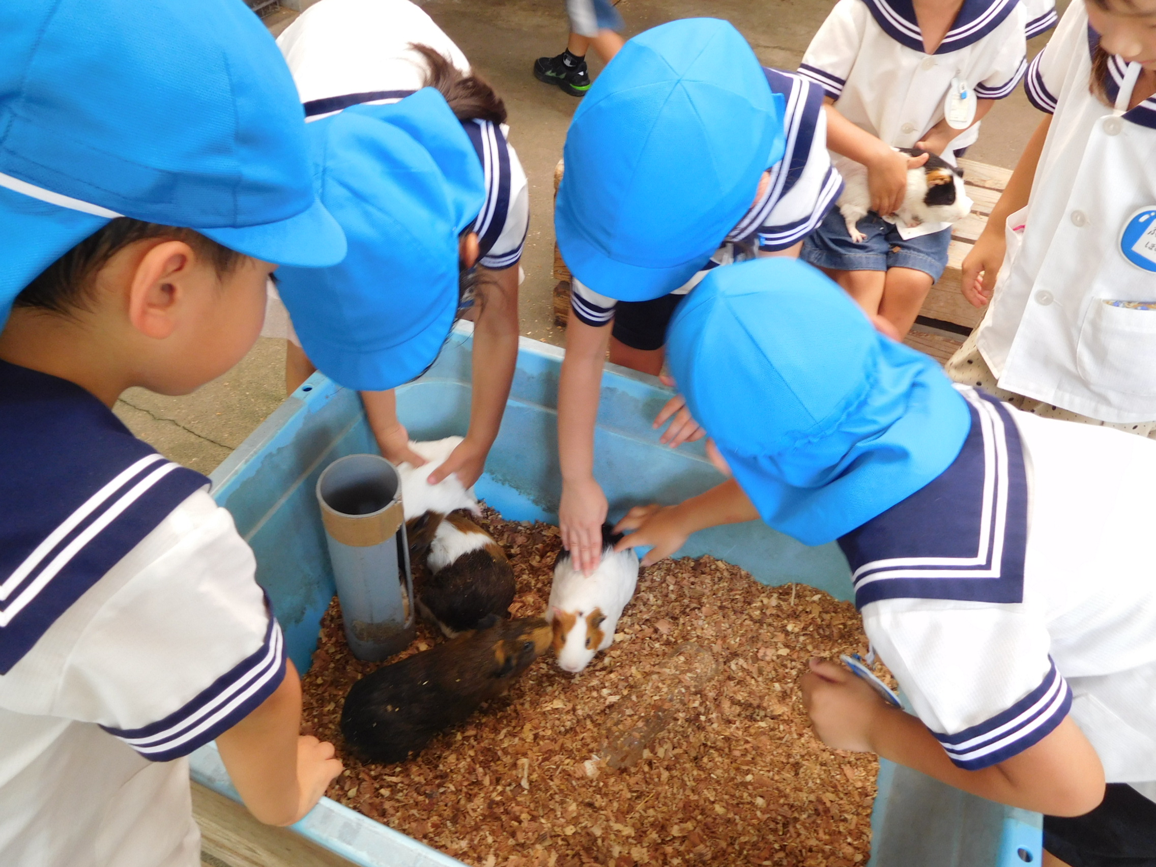 認定こども園横川幼稚園の画像7