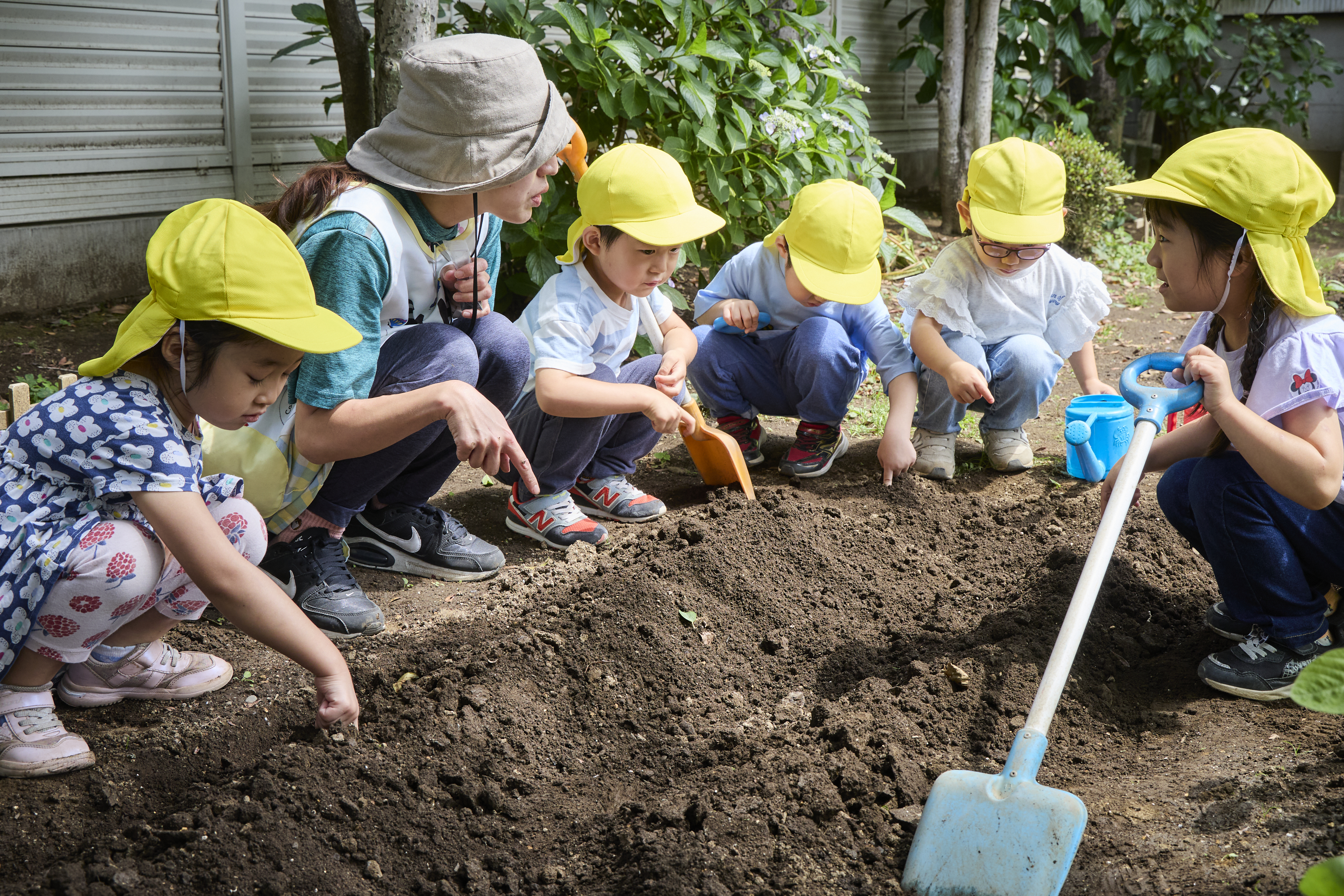 東洋大学附属京北幼稚園の画像5