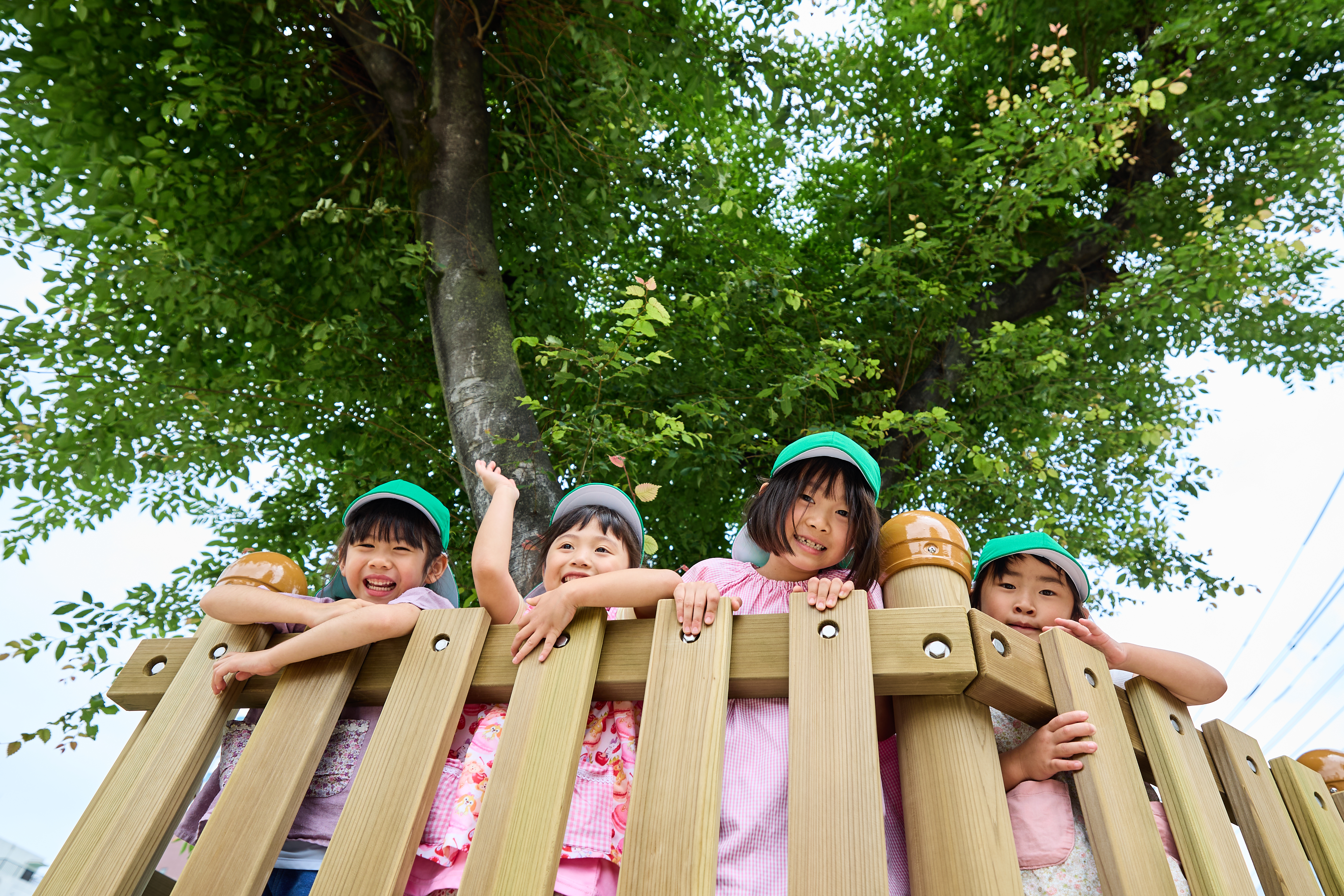 聖母の騎士幼稚園の画像6