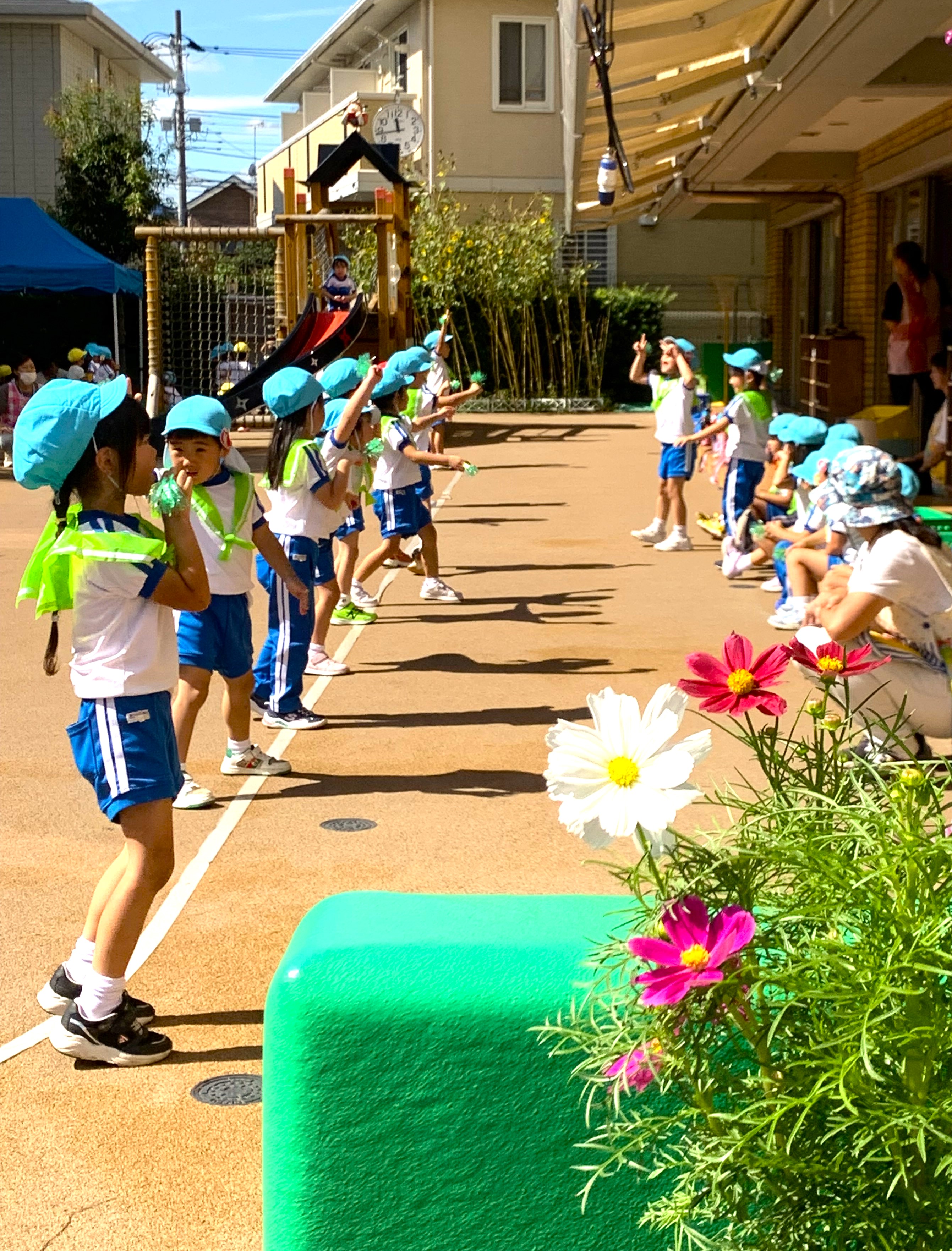 和光幼稚園の画像4