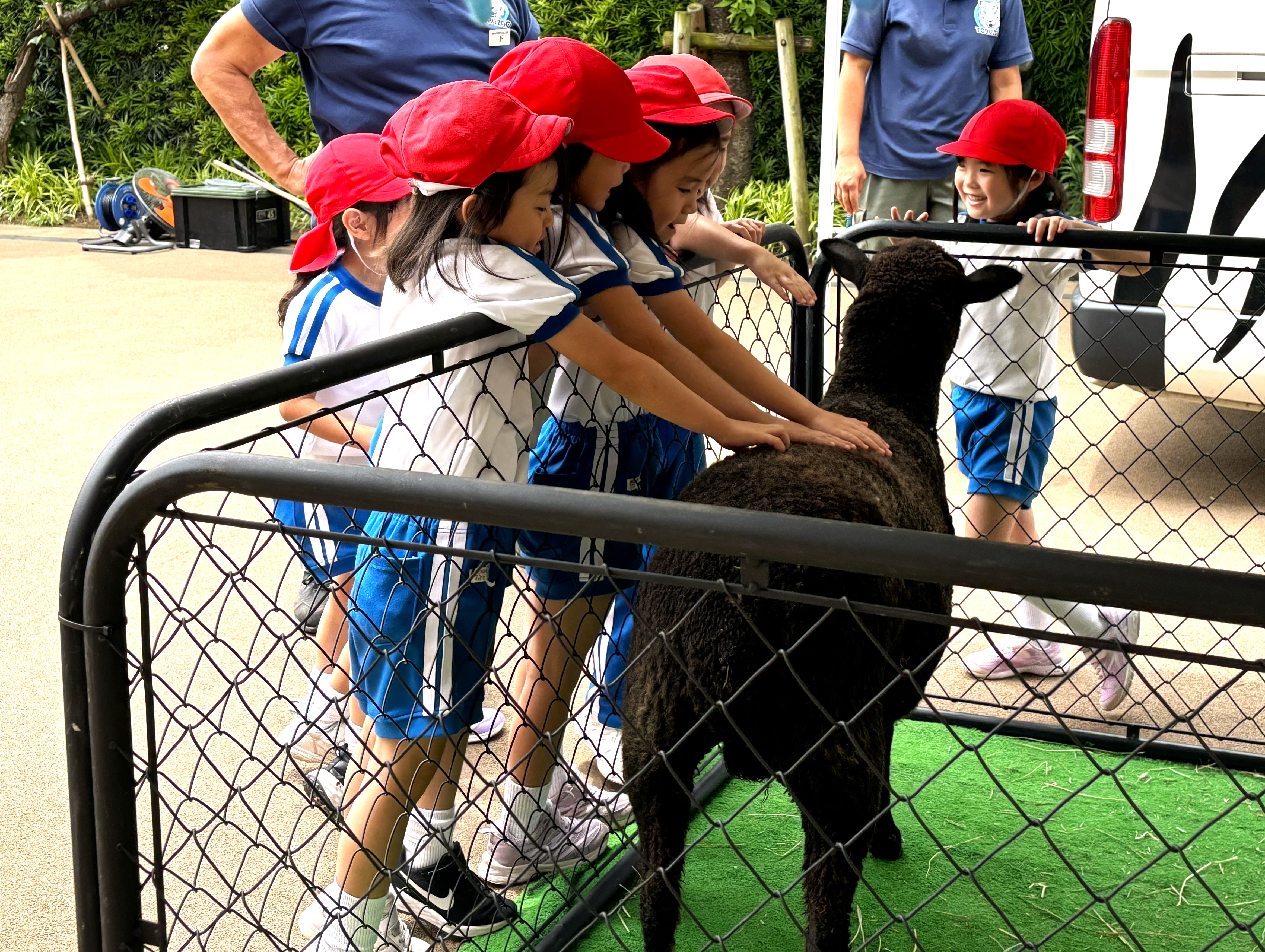 和光幼稚園の画像7